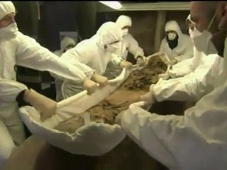 TV3 - Telenotícies - Anàlisis de les primeres mostres de les restes de Pere el Gran