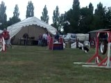 Agility Saujon 22/05/11