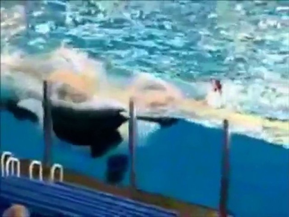 Protégons les orques