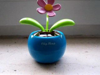 Güneş enerjisi ile dans eden çiçek