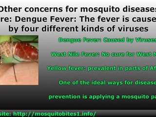 Malaria, the world's number 1 Killer