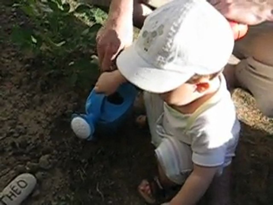 Le petit jardin