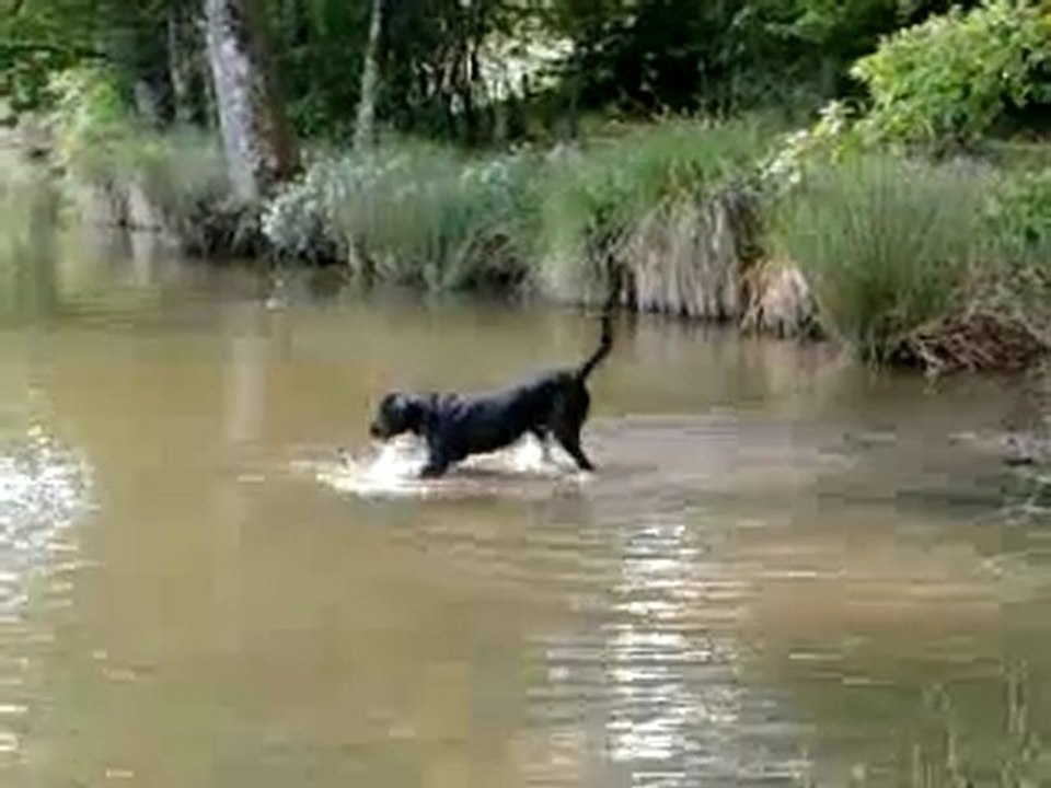 une decouverte !