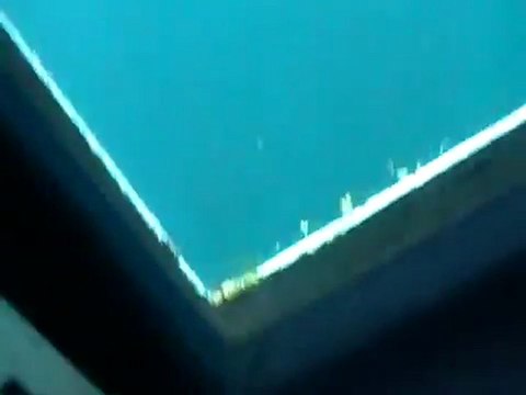 Bottlenose Dolphin Underwater In Jervis Bay Viewed By Dolphin Wild Cruises