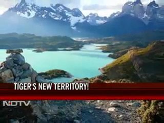 Salman-Kat's Ek Tha Tiger to ‎be shot in five countries