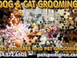 Pats Pet Grooming, Pet Grooming, Best Dog Grooming, Sunrise