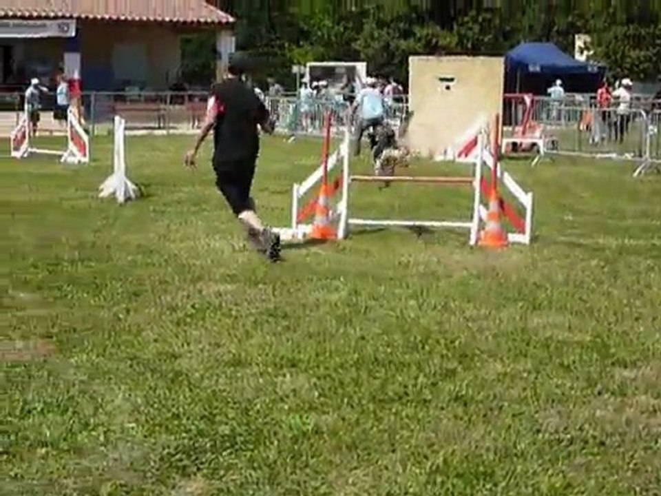 Brownie - SPGF Avignon - Jumping
