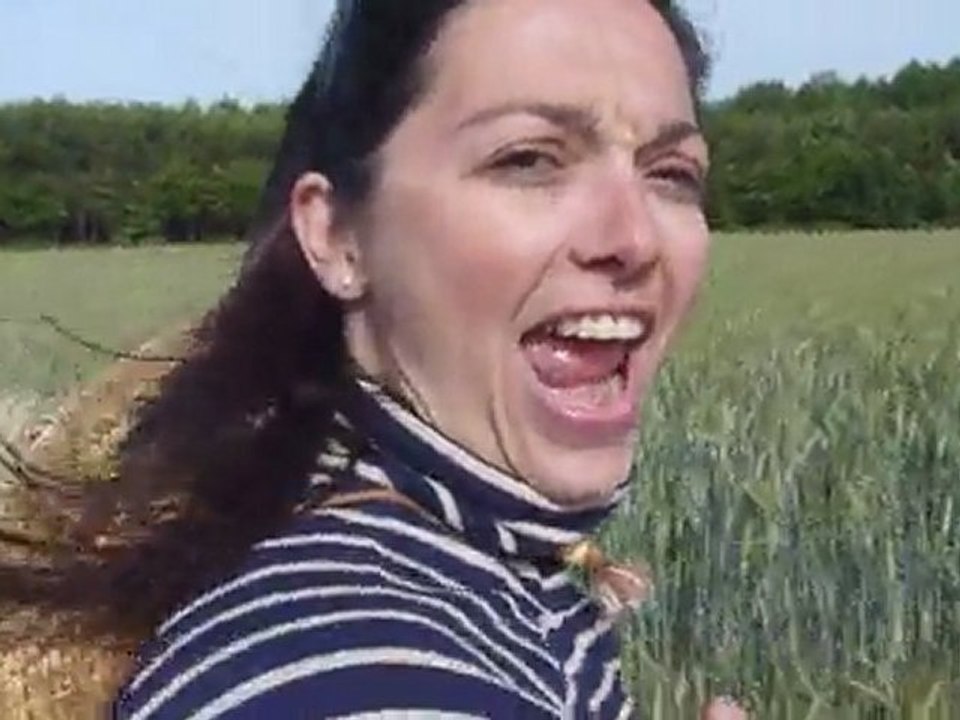 Randonnée en carriole avec Popeye dans les blés...