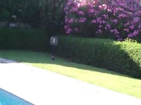 la peur d'un chat au bord de la piscine