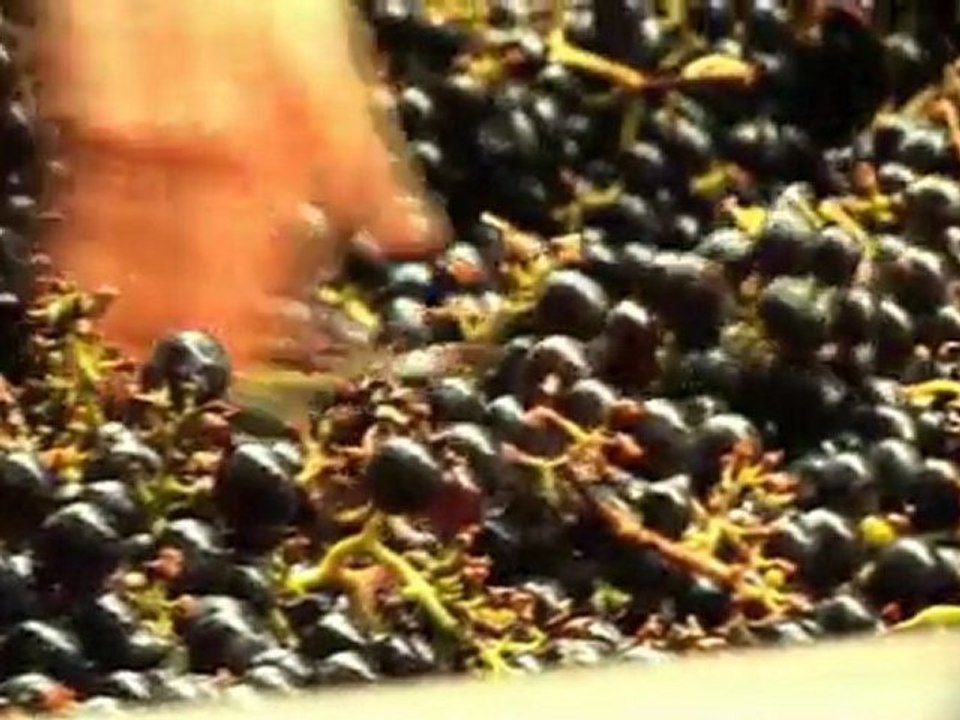 Domaine de la Lande-Viticulteur Bourgueil