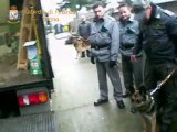 Torino - Sequestrati 200 chili di hashish