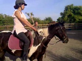 quelques tours de longe