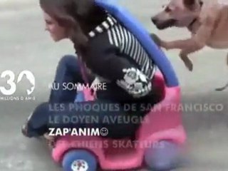 Sommaire emission 30 Millions d'Amis 28 05 2011