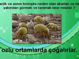 Sağlık Şakaya Gelmez
