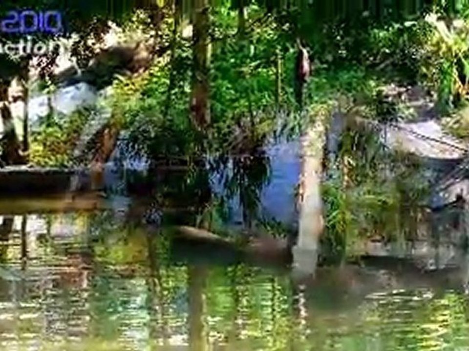 Chau Phu - An Giang 3