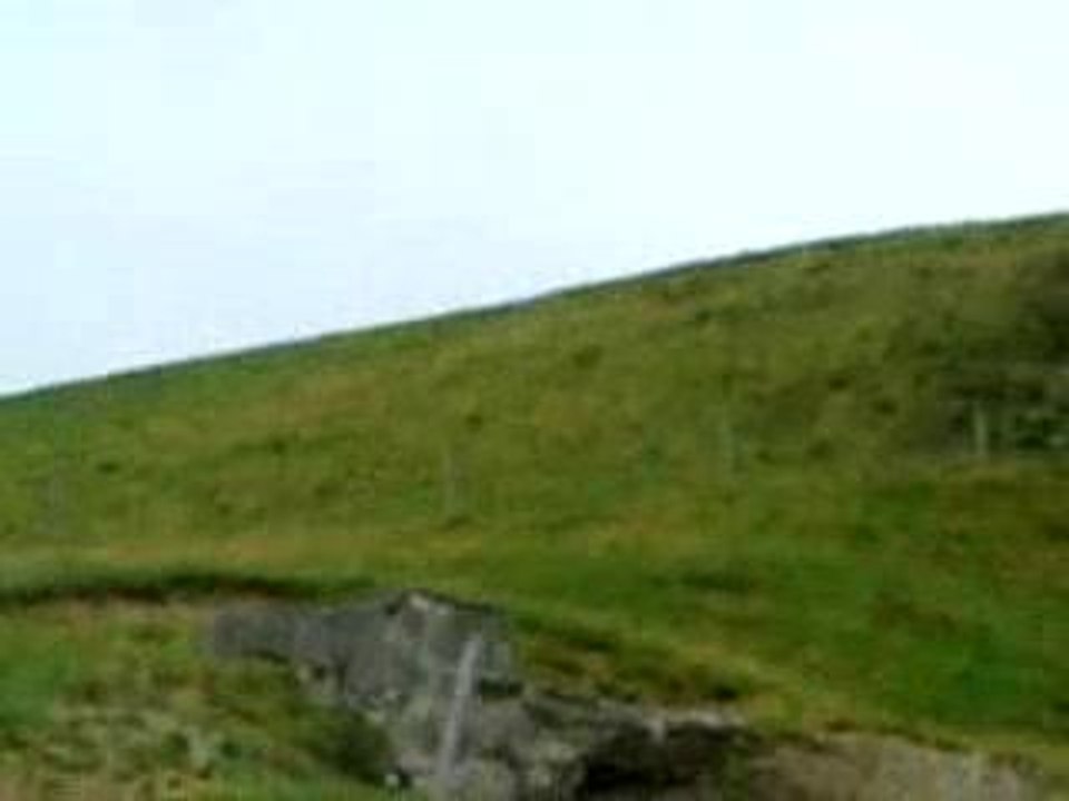 chevaux sauvages