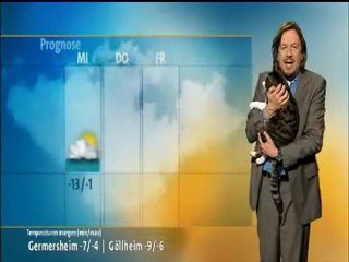 O meteorologos me ton gato