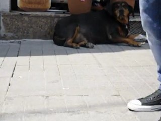 bir kap su bir kap yemek