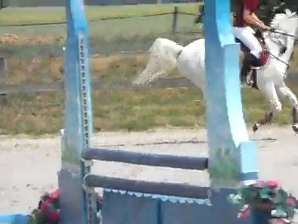 Liverdy Poney 3