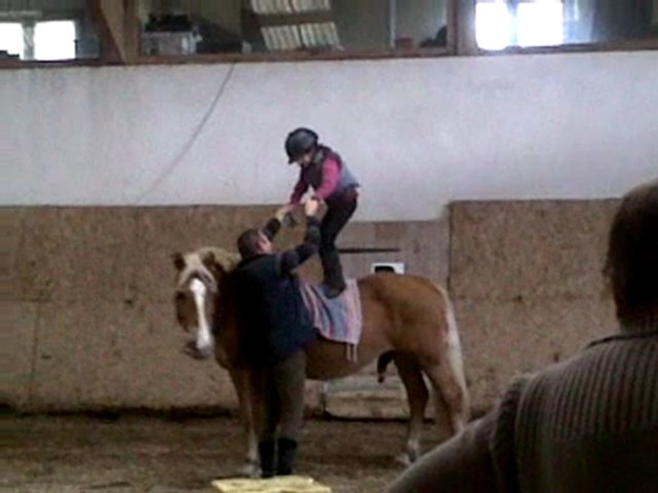 Séance de voltige et d'équitation adaptée avec la petite Laurie 4/6