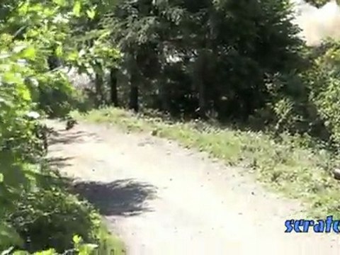 DS3 WRC - Tests Solberg - VanMerksteijn - mai 2011