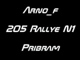 Rallyesim - Arno_f - 205 Rallye N1 - Pribram