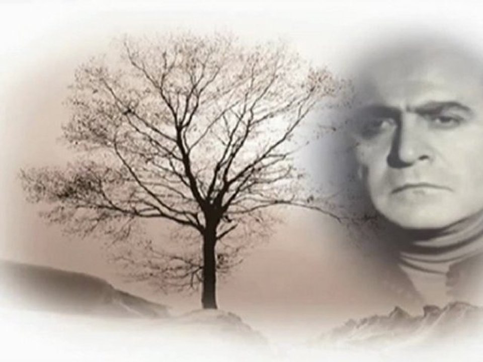 Ahmed Arif