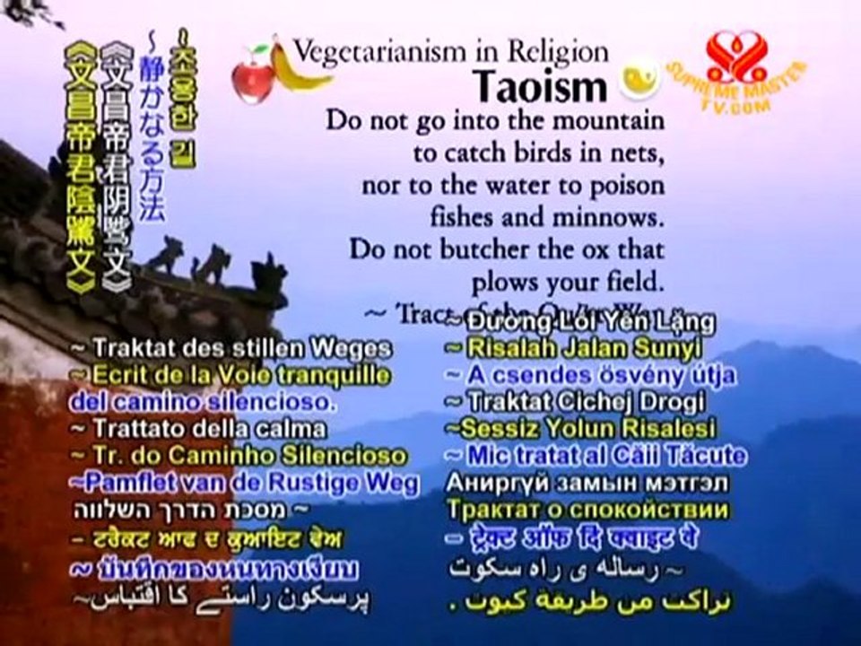 Press Conference with Supreme Master Ching Hai-P2/3, Cancún