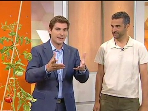 TV3 - Els Matins - Com fer un hort a casa