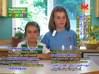 Enlightened Chocochip Oatmeal Cookies