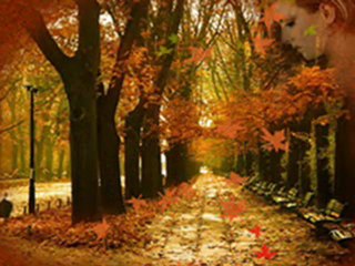 MEVLAM AYRILIK VERMESİN