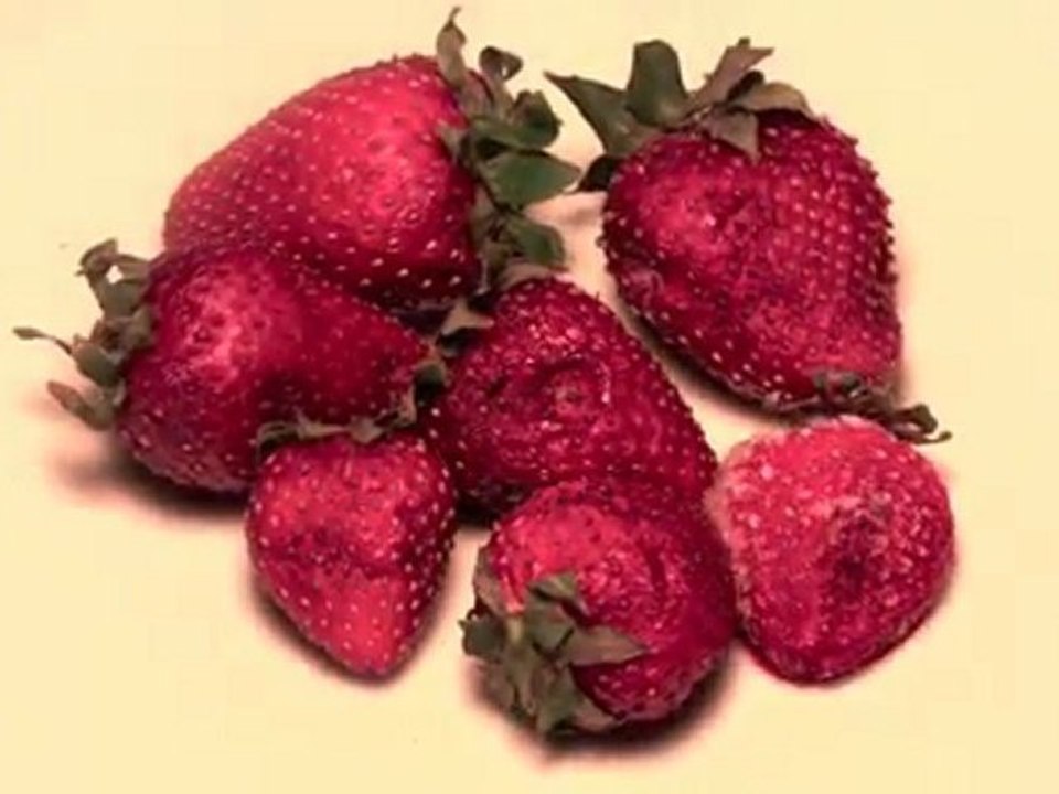 Wilting Strawberries (Timelapse)
