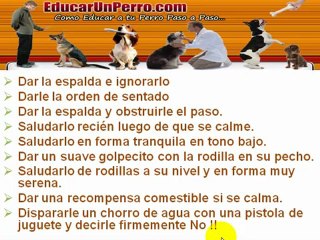 Curso de Educación Canina
