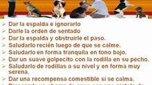 Curso de Educación Canina