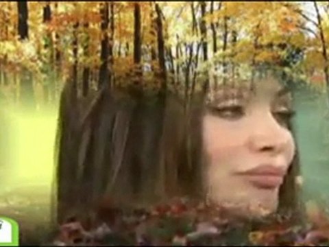 Umut Akyürek / Sonbahar Vurgunu (Musıki Dergahı)