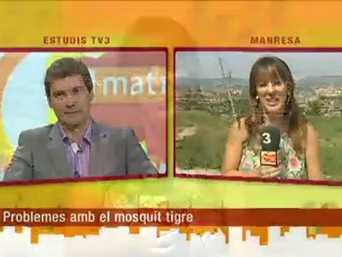 TV3 - Els matins - Setge al mosquit tigre durant la seva època de reproducció