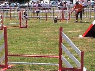 RAZ MOKET S 2 eme manche cooky