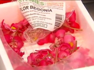 TV3 - Telenotícies - Flors per menjar als restaurants