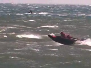 PORT BARCARES 2011 THUNDERCAT