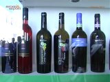 Consorzio Wine For Export - Per la promozione dei vostri vini