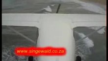 Flying - Beach - Low