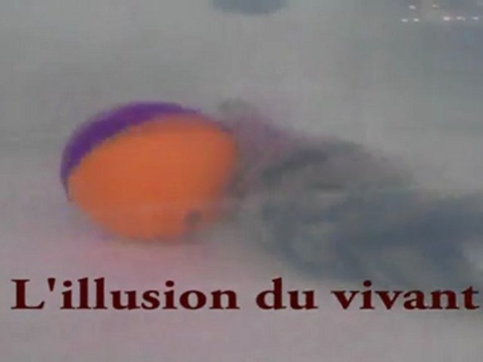 L'illusion du vivant