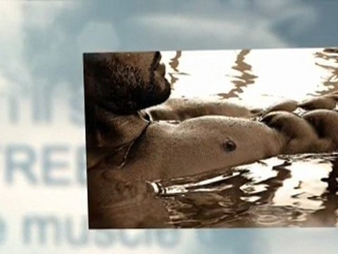 fitness model diet plan - male fitness model diet