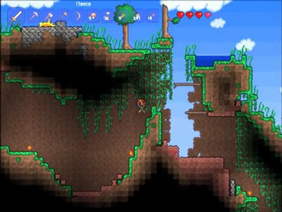 vidéo de terraria