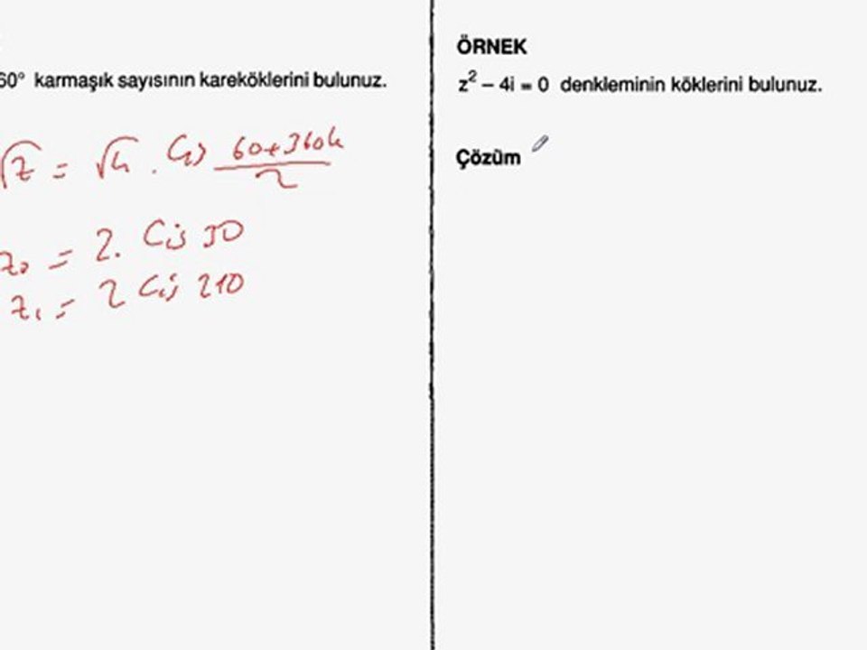 11. sınıf  kök  bulma
