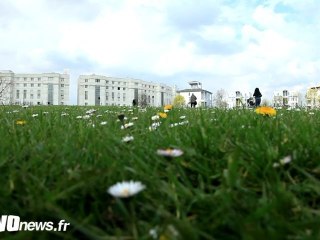 L'art public en questions à Cergy-Pontoise
