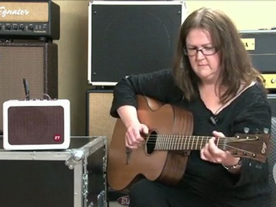 ZT Amplifiers Lunchbox Acoustic