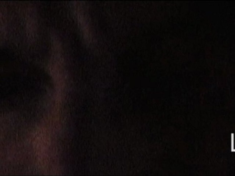 L.
