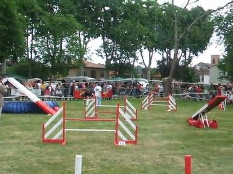 Brume Agility 2 Trophée par équipe 2011