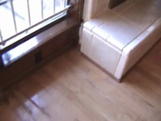 Houston Home Inspector: Water Penetration Around Fireplace